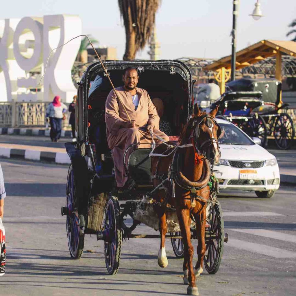 Luxor City Tour By Horse Carriage