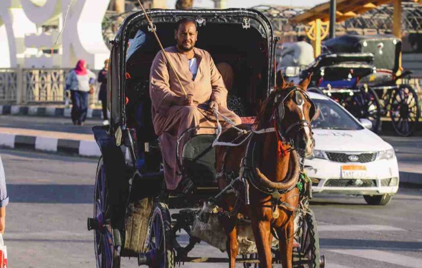 Luxor City Tour By Horse Carriage