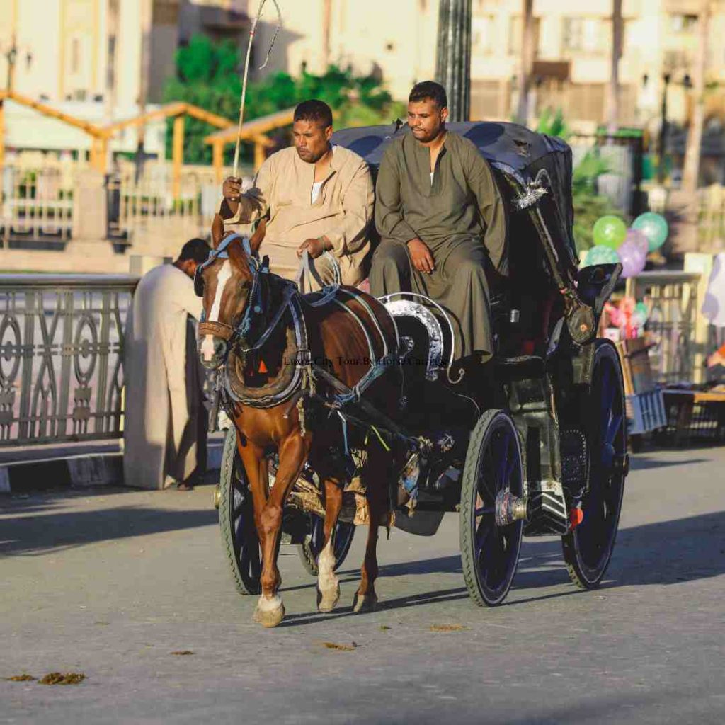 horse carriage Luxor