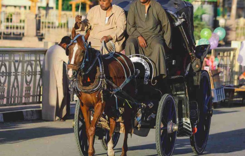 horse carriage Luxor