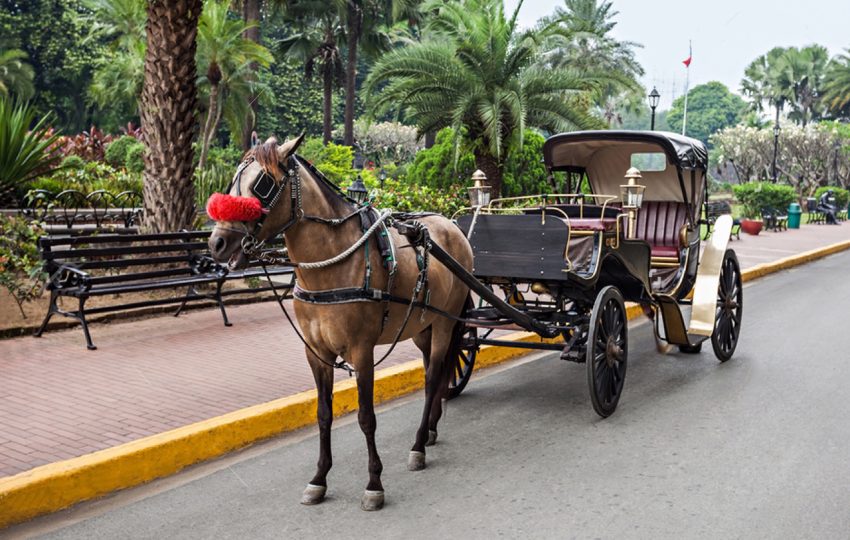 Aswan-Day-Tour-Horse-Carriage-Egypt-Tours-Portal (1)