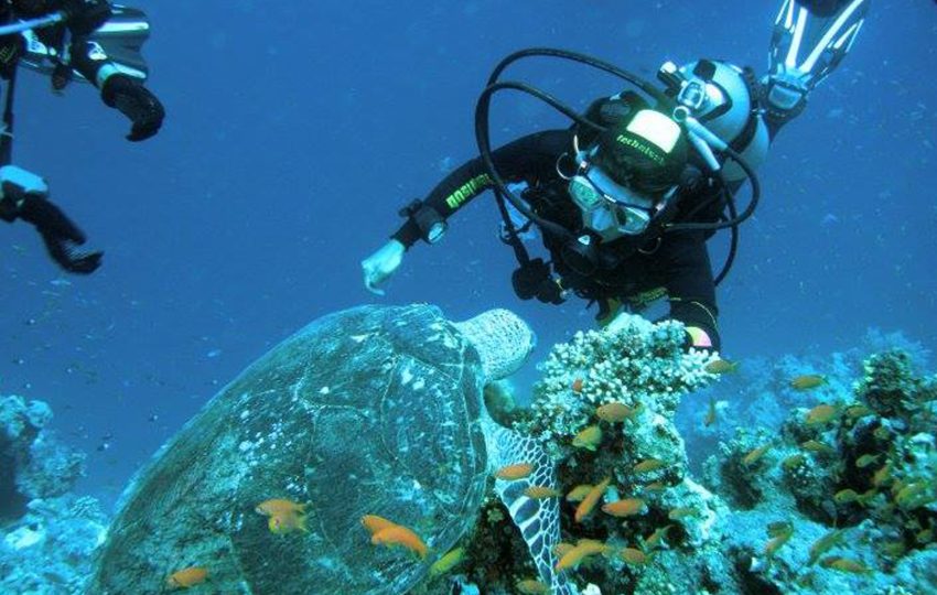 Snorkeling in Teran Island