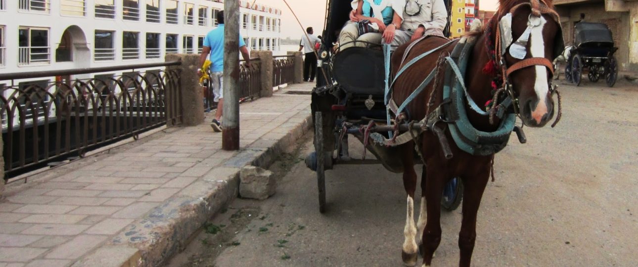 Horse Carriage