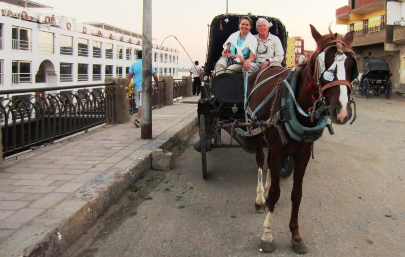 Aswan Horse Carriage Trip