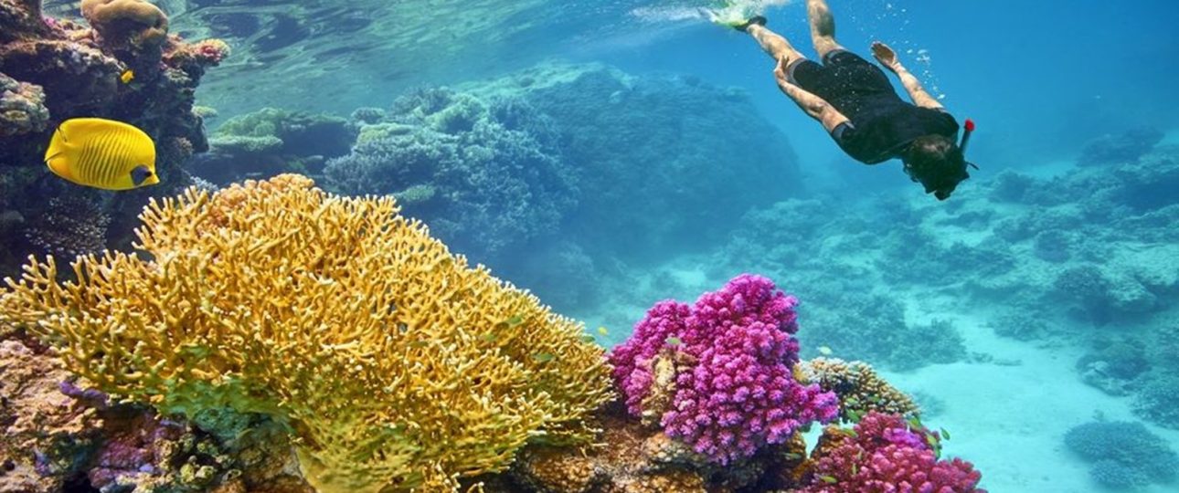 Snorkeling Trip