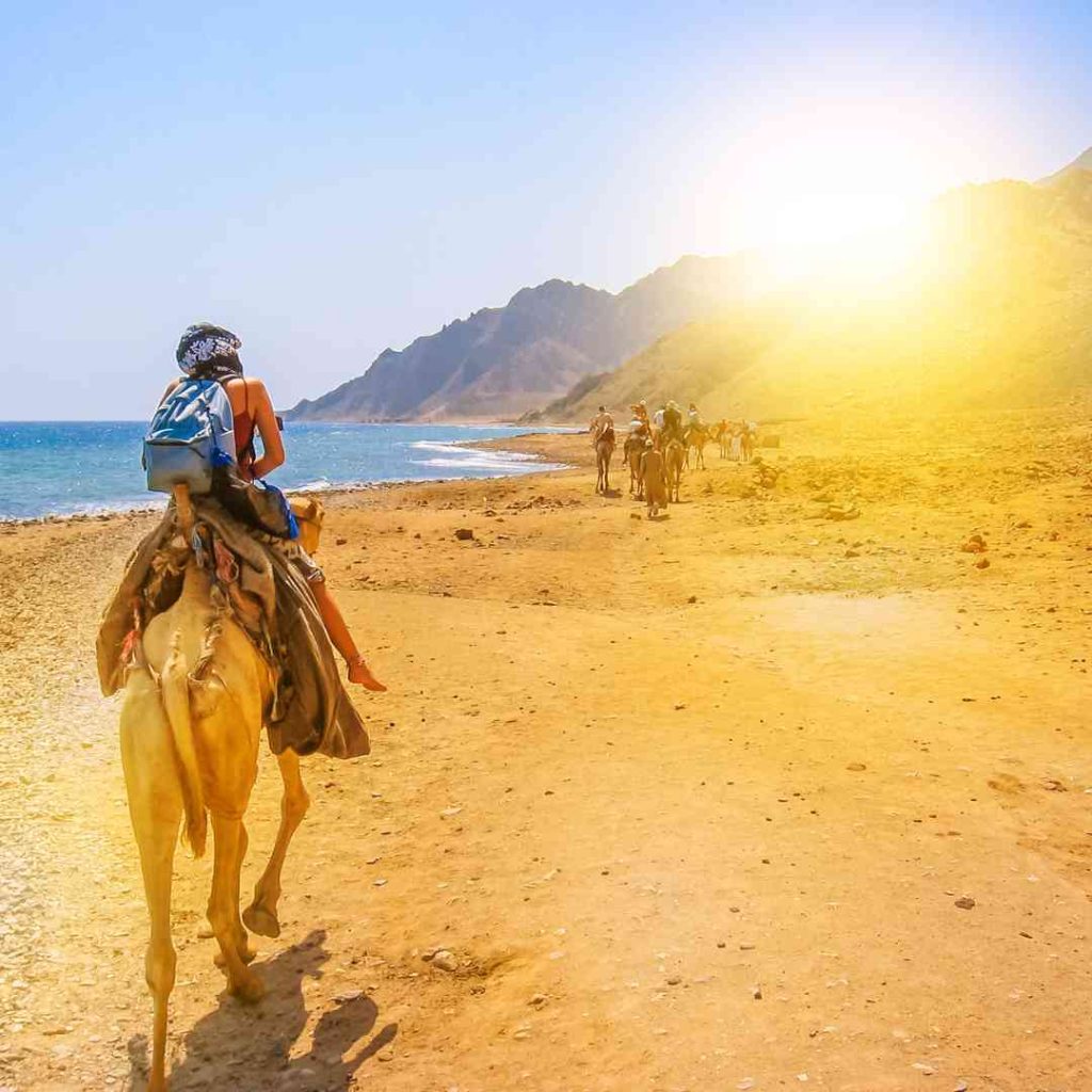 Egypt travel packages