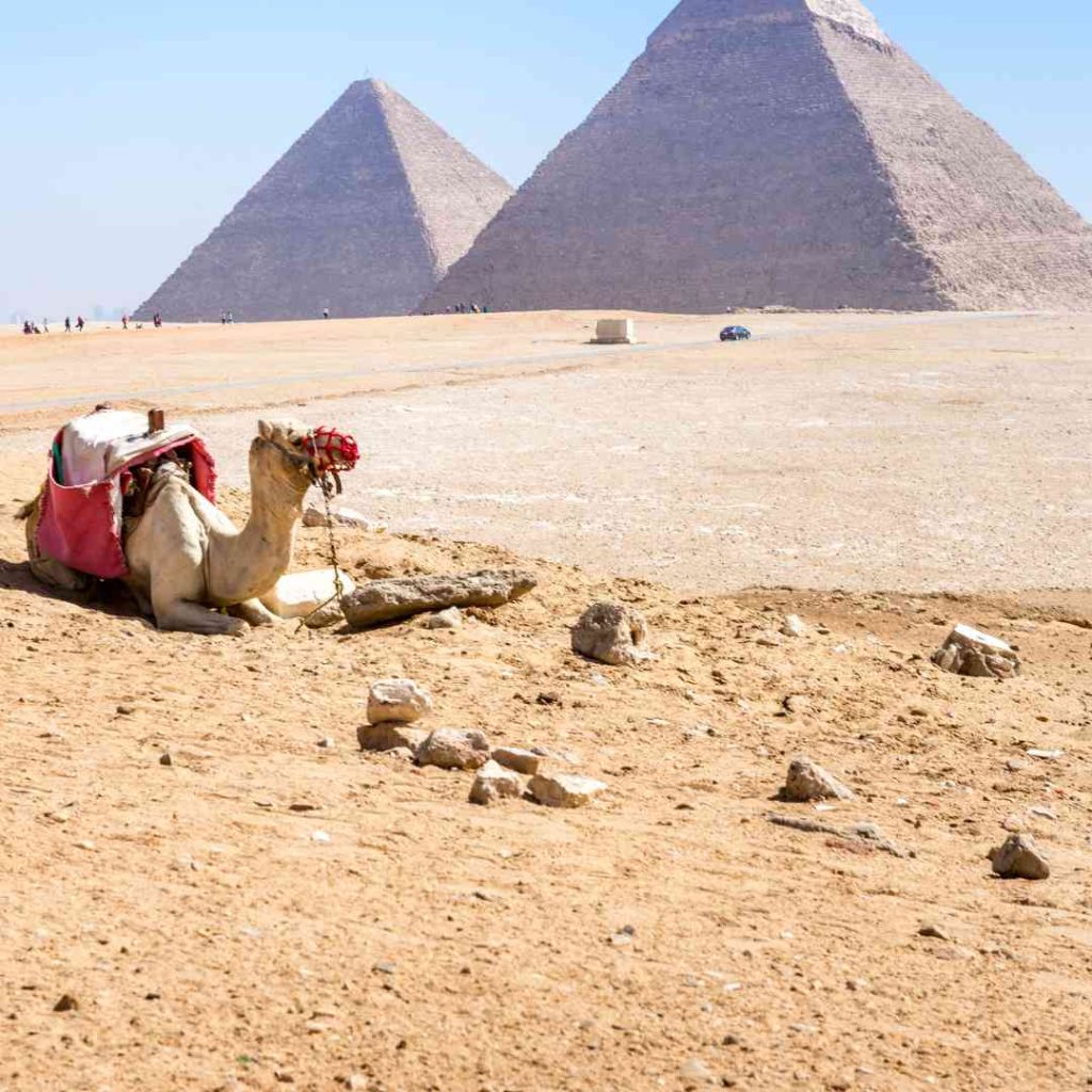 Cairo tours