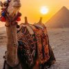 Essential Tips for Your Egyptian Adventure