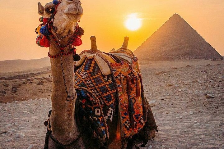 Essential Tips for Your Egyptian Adventure